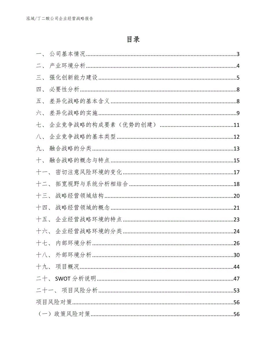 丁二酸公司企业经营战略报告（范文）_第2页