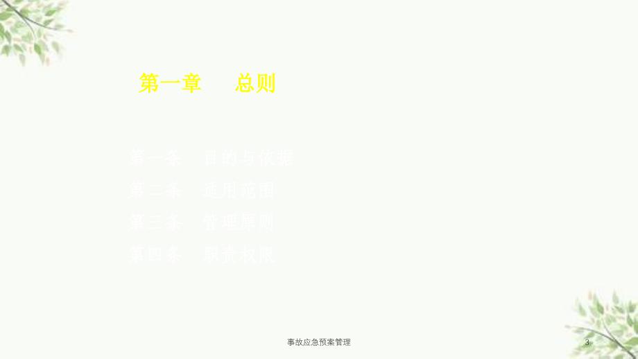 事故应急预案管理课件_第3页