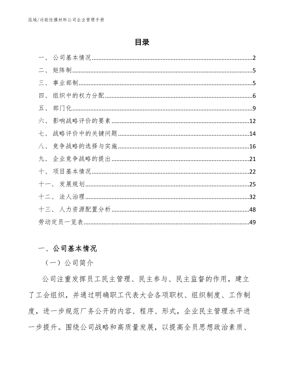 功能性膜材料公司企业管理手册_范文_第2页