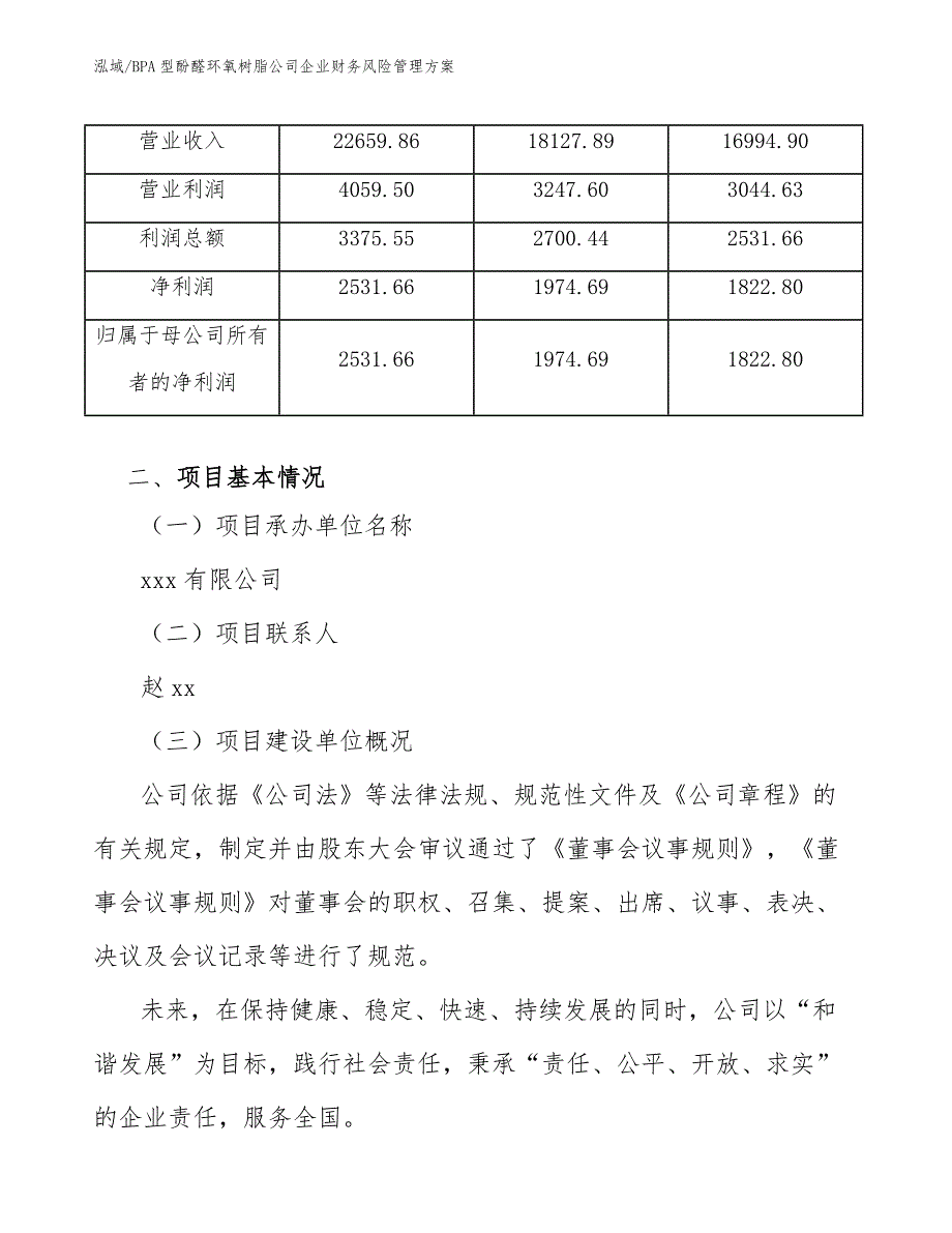 BPA型酚醛环氧树脂公司企业财务风险管理方案_第3页