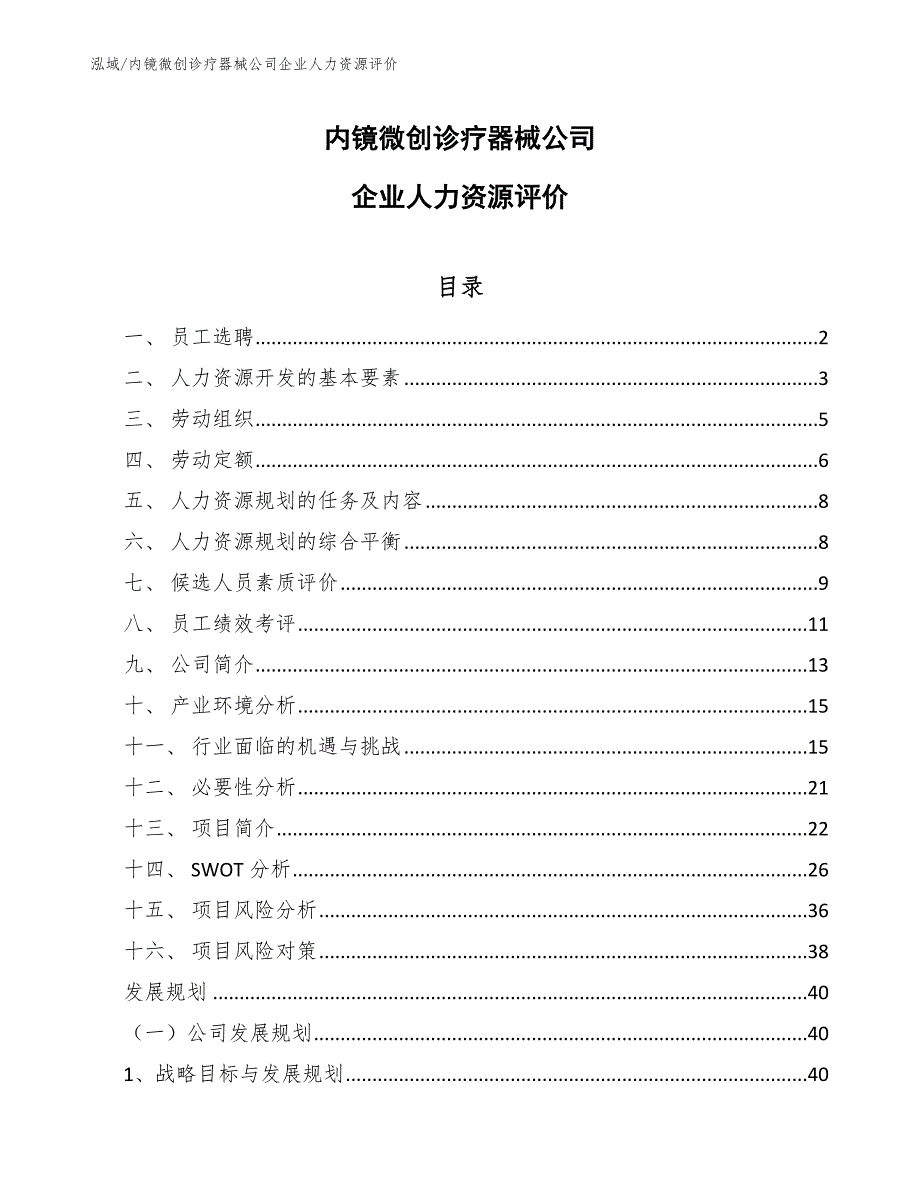 内镜微创诊疗器械公司企业人力资源评价_第1页