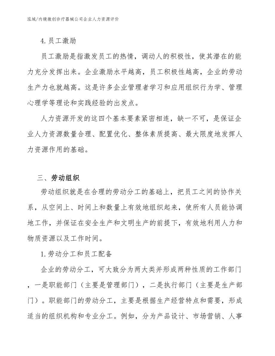 内镜微创诊疗器械公司企业人力资源评价_第5页