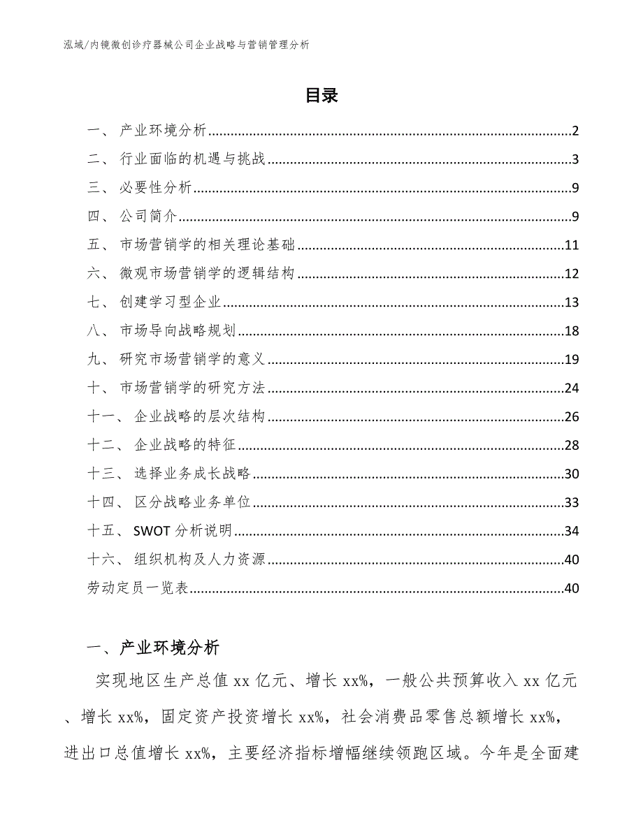 内镜微创诊疗器械公司企业战略与营销管理分析（参考）_第2页