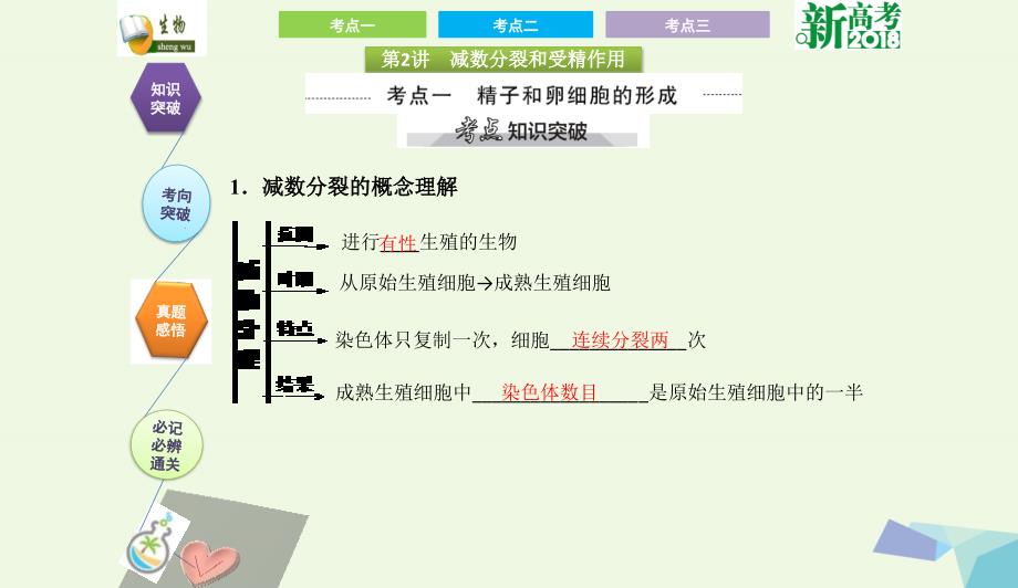 全国卷地区专用高考生物总复习第四单元细胞的生命历程第2讲减数分裂和受精作用课件0731316_第2页