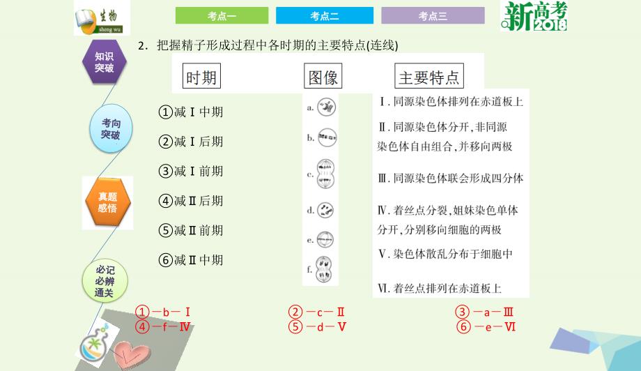 全国卷地区专用高考生物总复习第四单元细胞的生命历程第2讲减数分裂和受精作用课件0731316_第3页