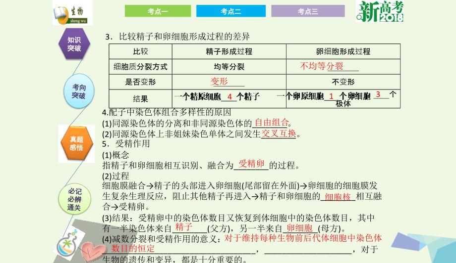 全国卷地区专用高考生物总复习第四单元细胞的生命历程第2讲减数分裂和受精作用课件0731316_第4页