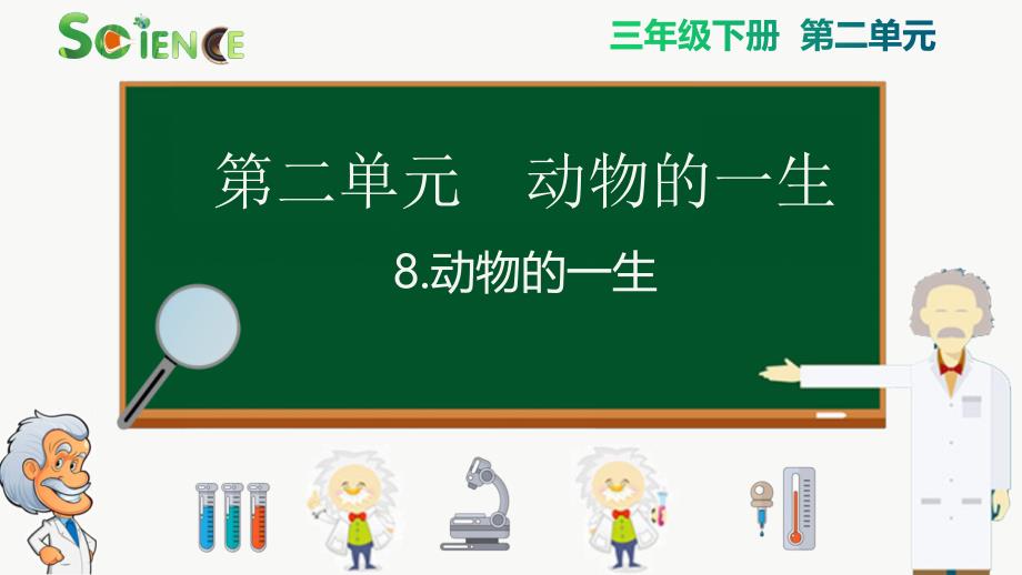 新教科版小学科学三年级下册《动物的生》精品课件_第1页