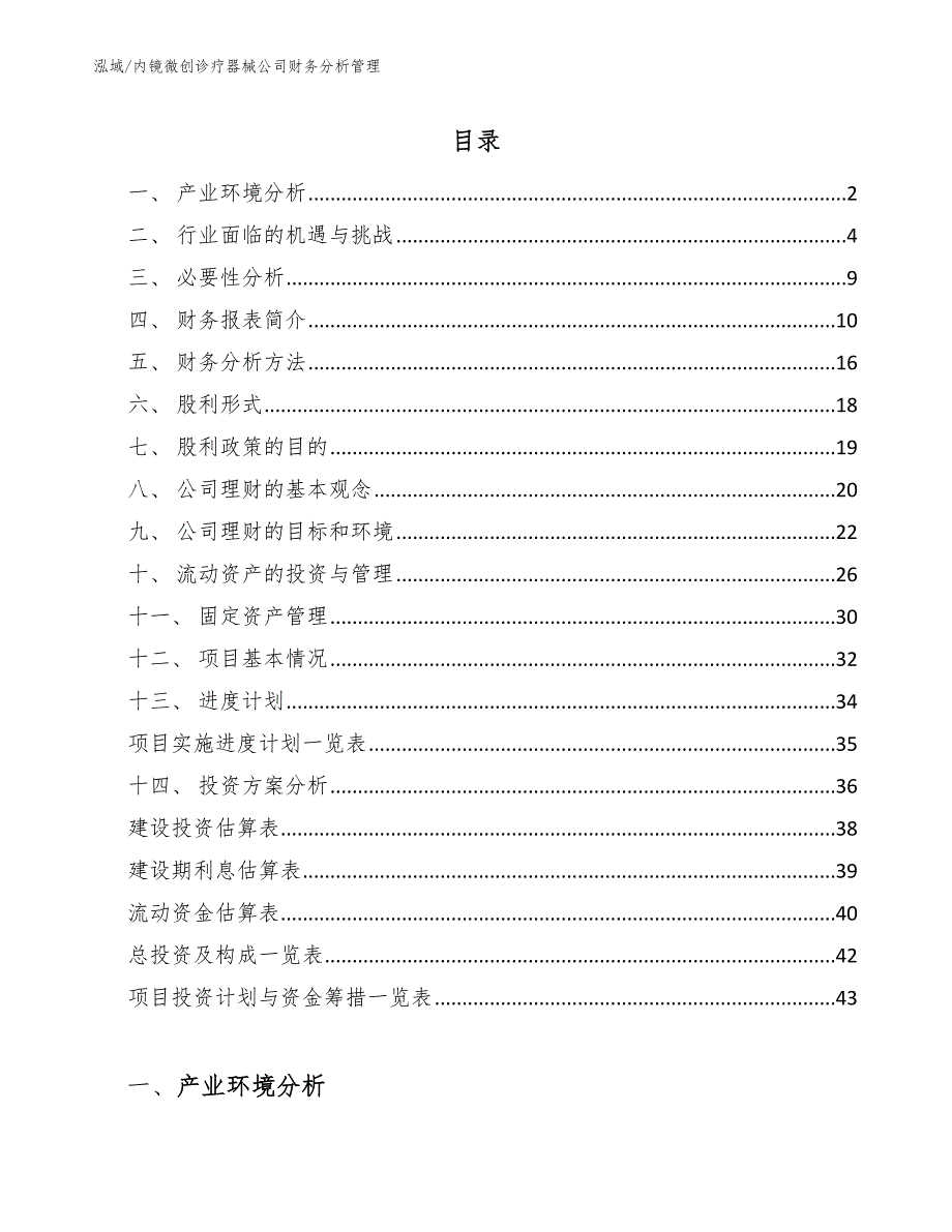 内镜微创诊疗器械公司财务分析管理【参考】_第2页