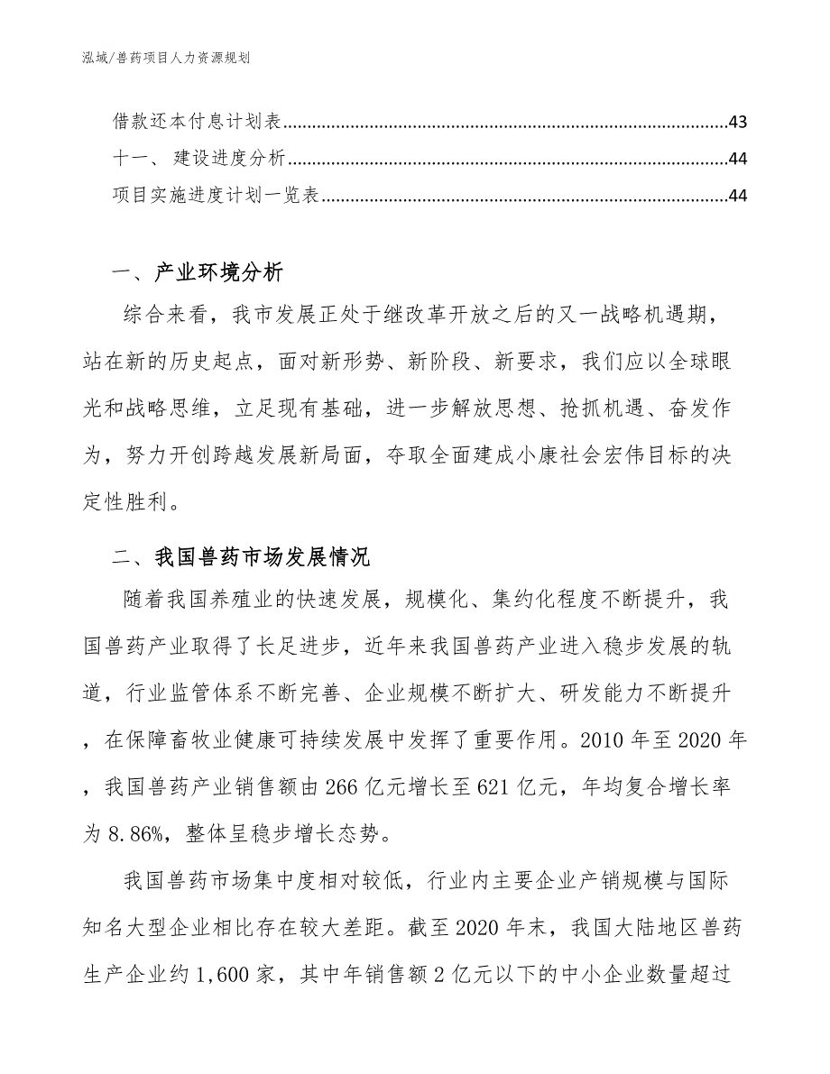 兽药项目人力资源规划（参考）_第2页