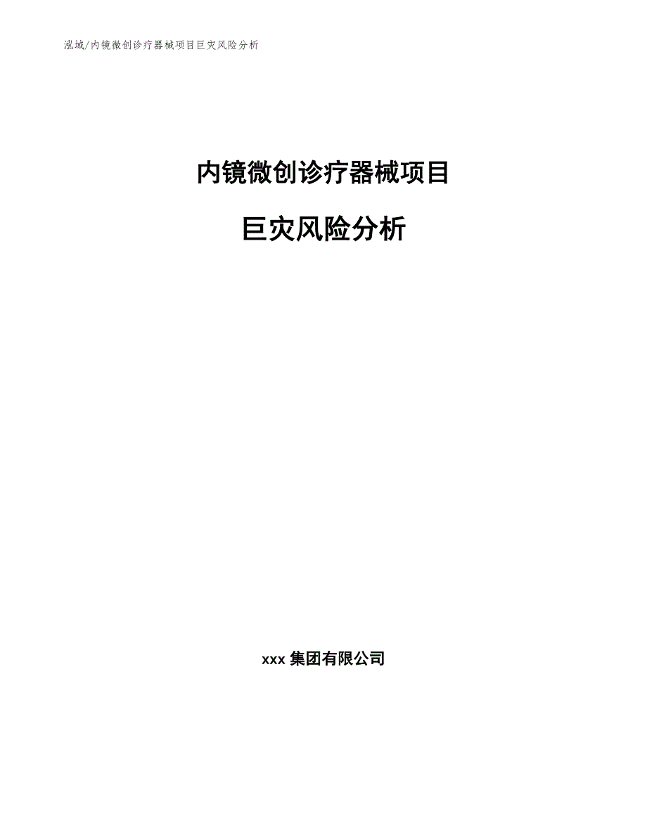 内镜微创诊疗器械项目巨灾风险分析（参考）_第1页