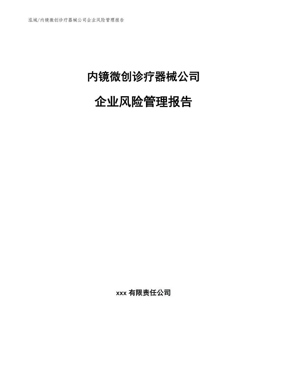 内镜微创诊疗器械公司企业风险管理报告（范文）_第1页