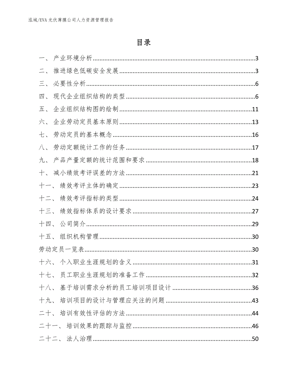 EVA光伏薄膜公司人力资源管理报告（参考）_第2页