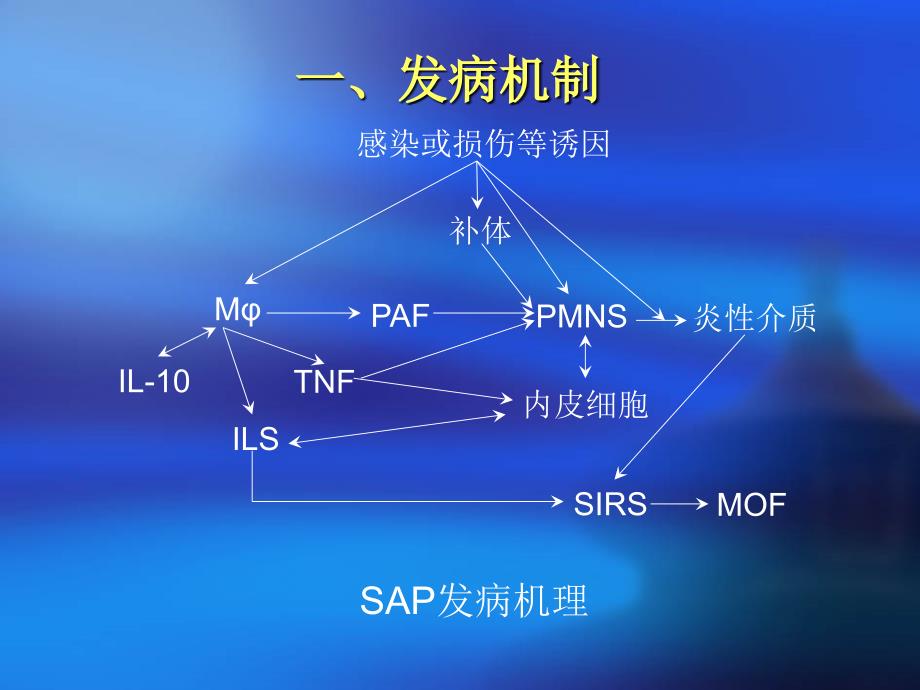 重症急性胰腺炎_第2页