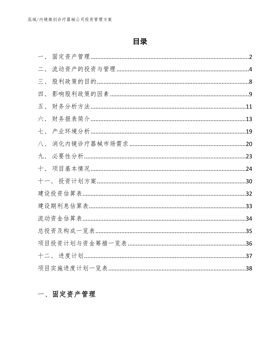 内镜微创诊疗器械公司投资管理方案_第2页