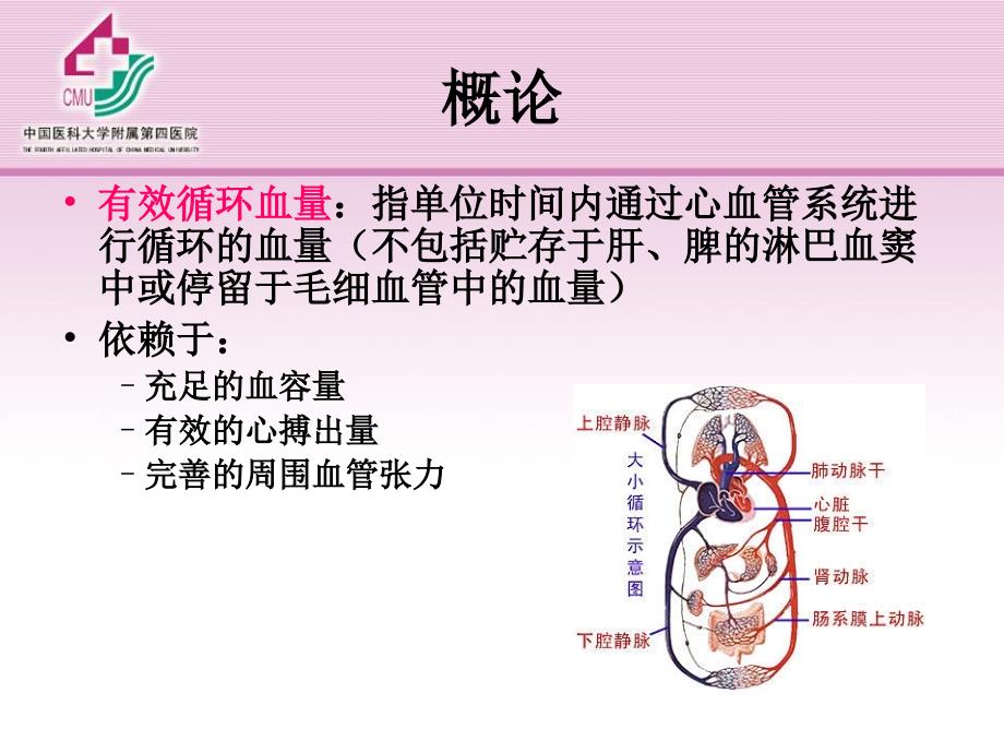 第五章-外科休克课件_第3页