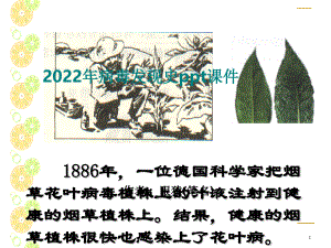 2022年病毒发现史ppt课件