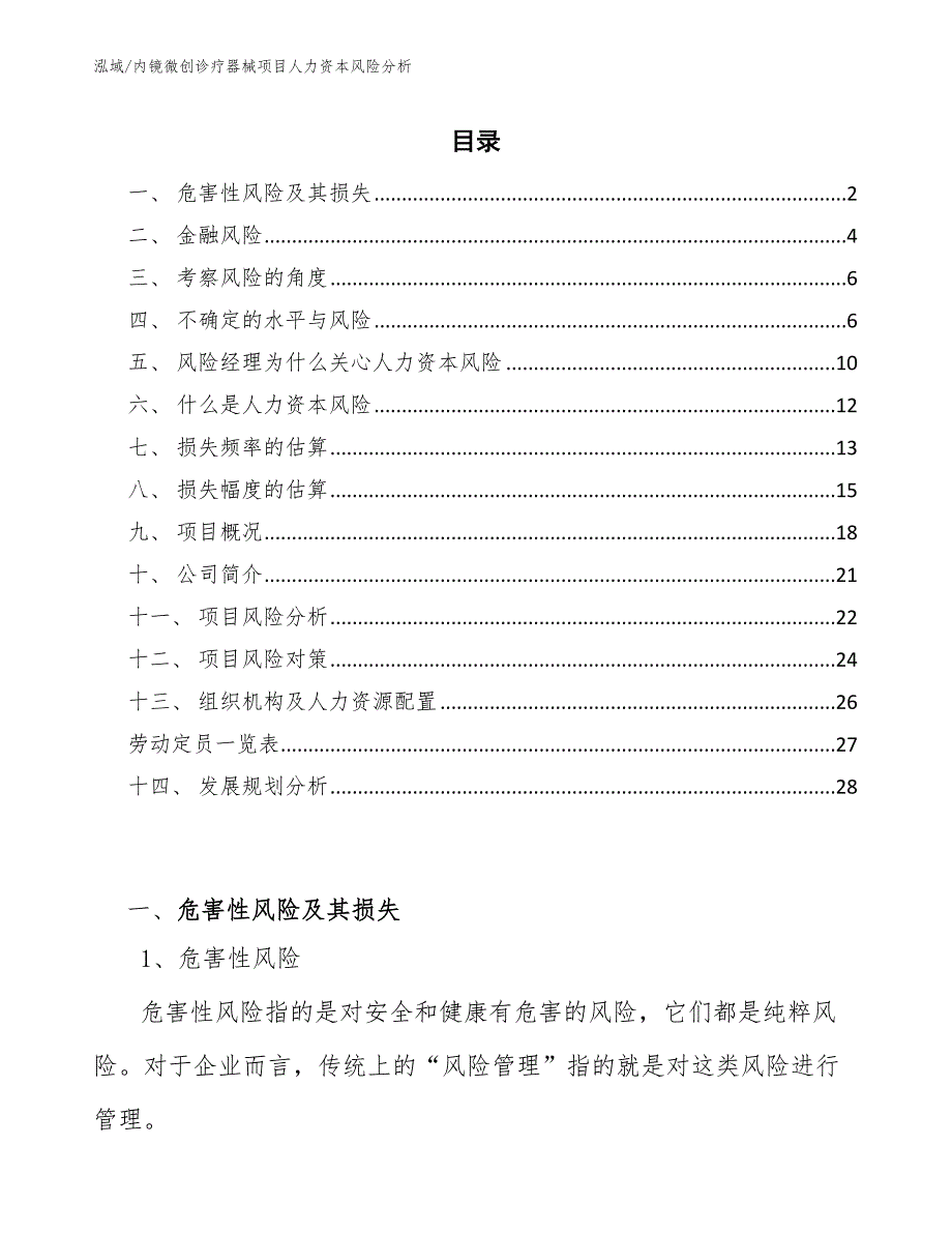 内镜微创诊疗器械项目人力资本风险分析_第2页