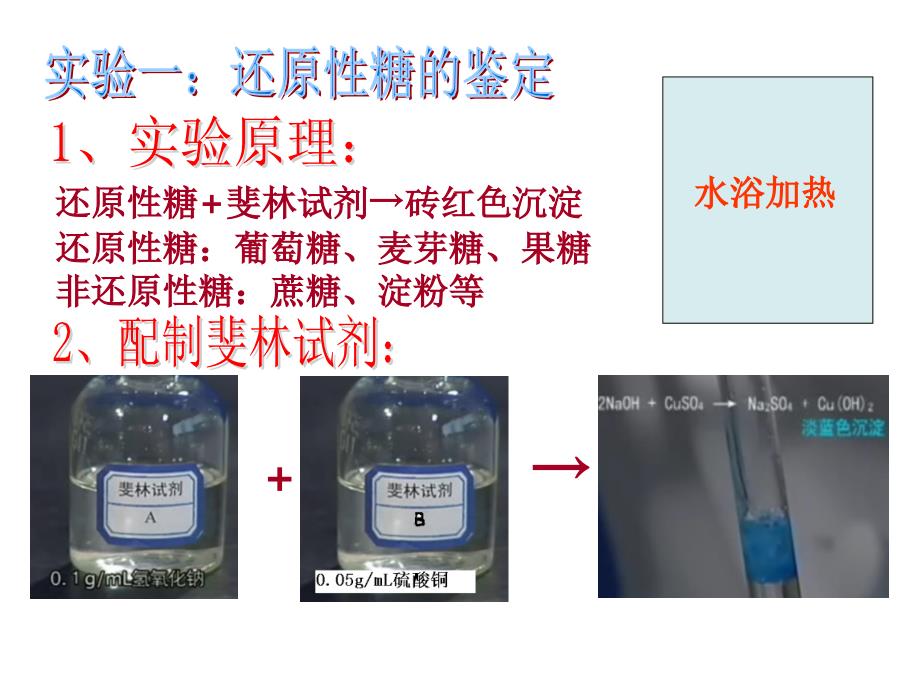 高中生物必修一实验知识点总结.ppt_第4页