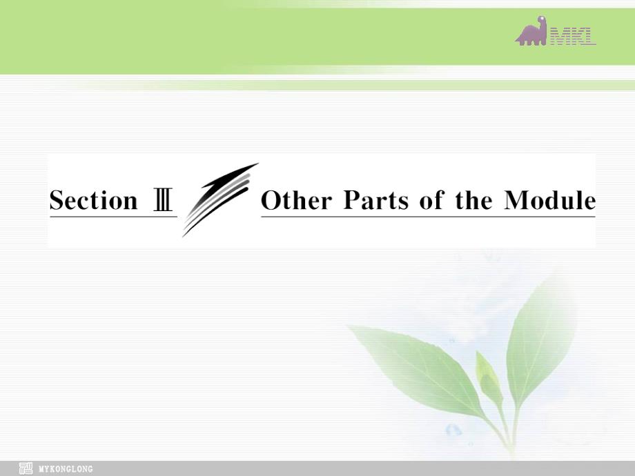 外研版高中英语Module 3Section Ⅲ Other Parts of the Module课件_第3页