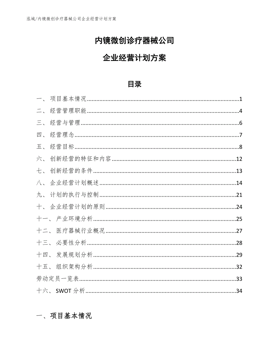 内镜微创诊疗器械公司企业经营计划方案（参考）_第1页