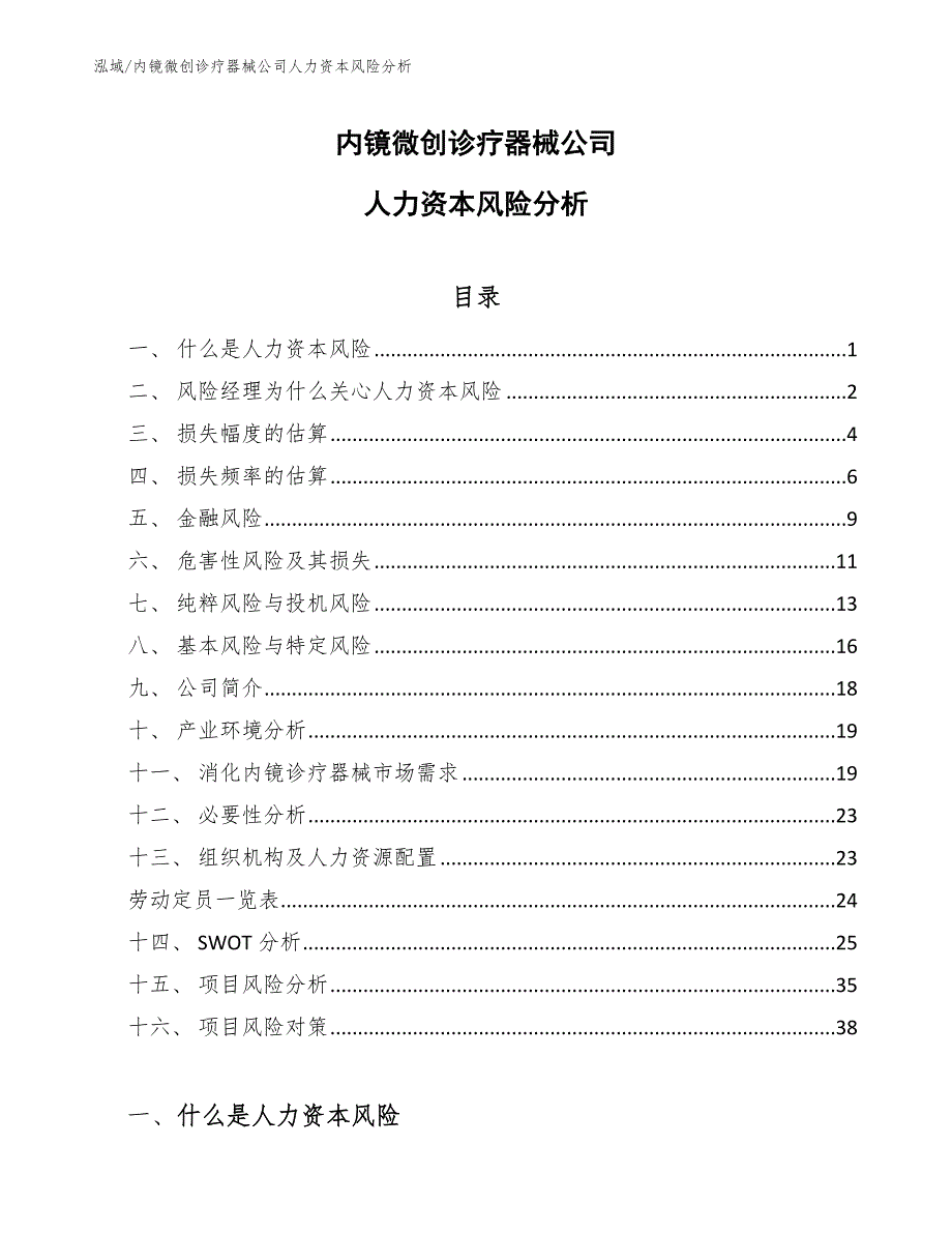 内镜微创诊疗器械公司人力资本风险分析_参考_第1页