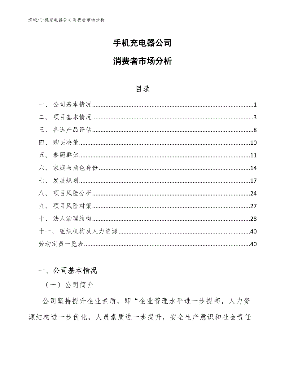 手机充电器公司消费者市场分析_第1页