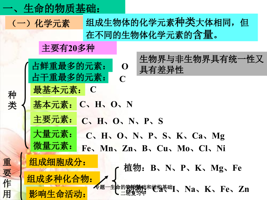 专题一生命的物质基础和结构基础二轮复习中课件_第2页