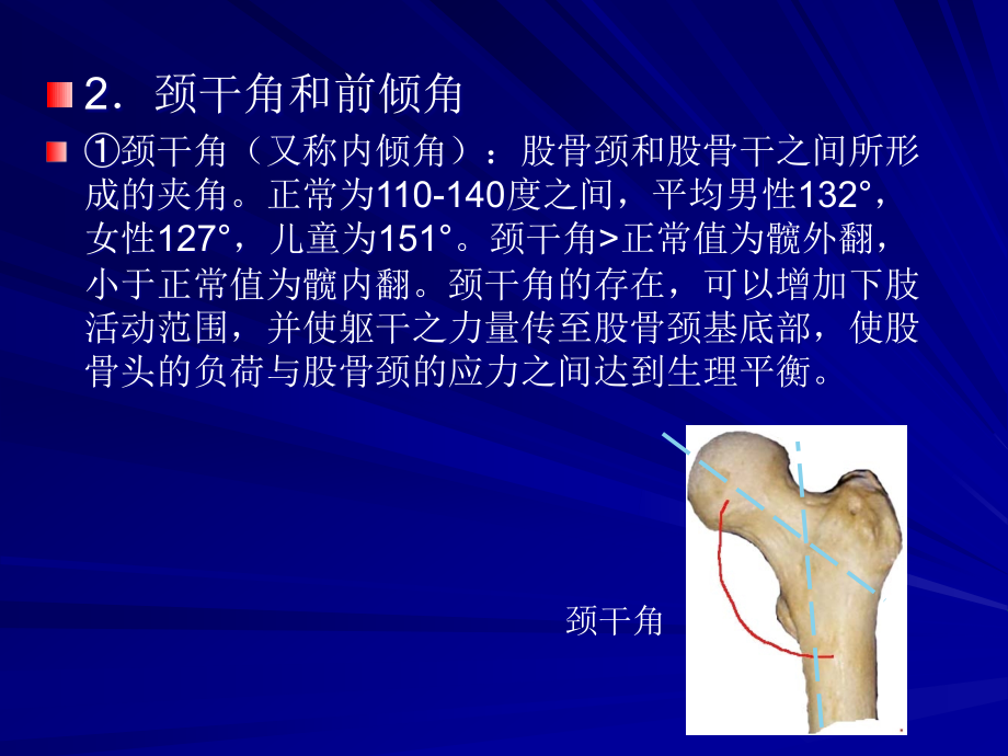 下肢骨折(上)ppt课件_第4页