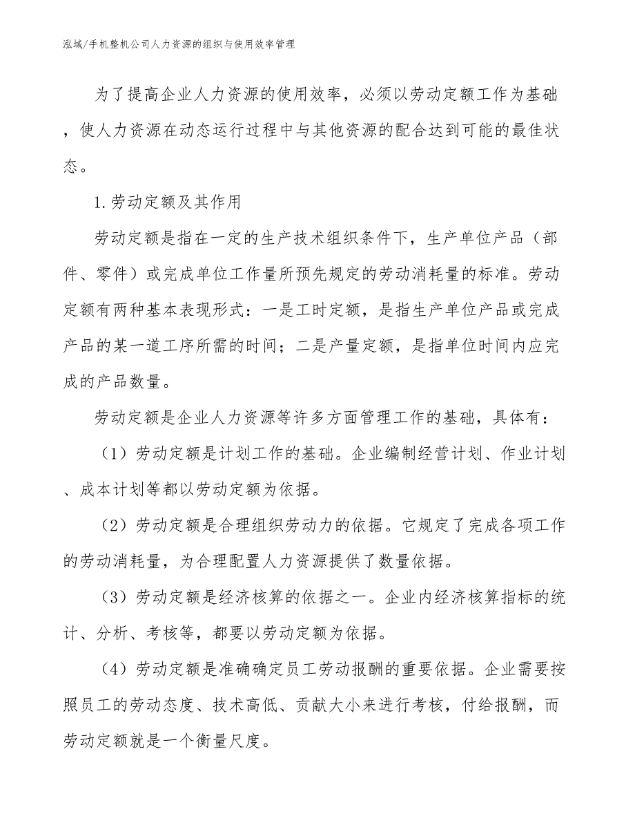 手机整机公司人力资源的组织与使用效率管理（参考）_第2页