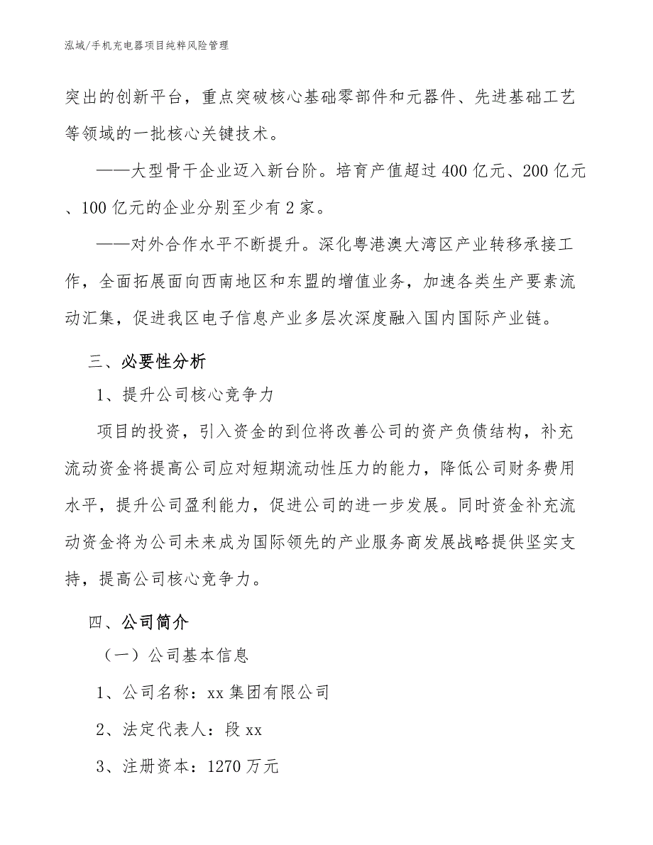 手机充电器项目纯粹风险管理_第4页