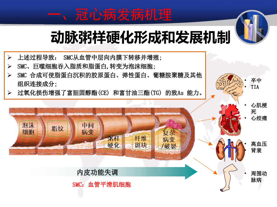 冠心病分层诊断与处理课件_第3页