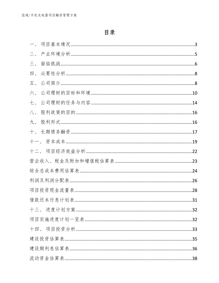 手机充电器项目融资管理方案_参考_第2页