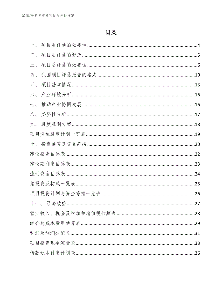 手机充电器项目后评估方案_参考_第2页