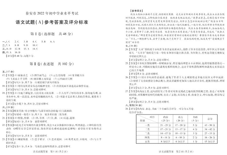 2022年山东省泰安市中考语文真题_第5页