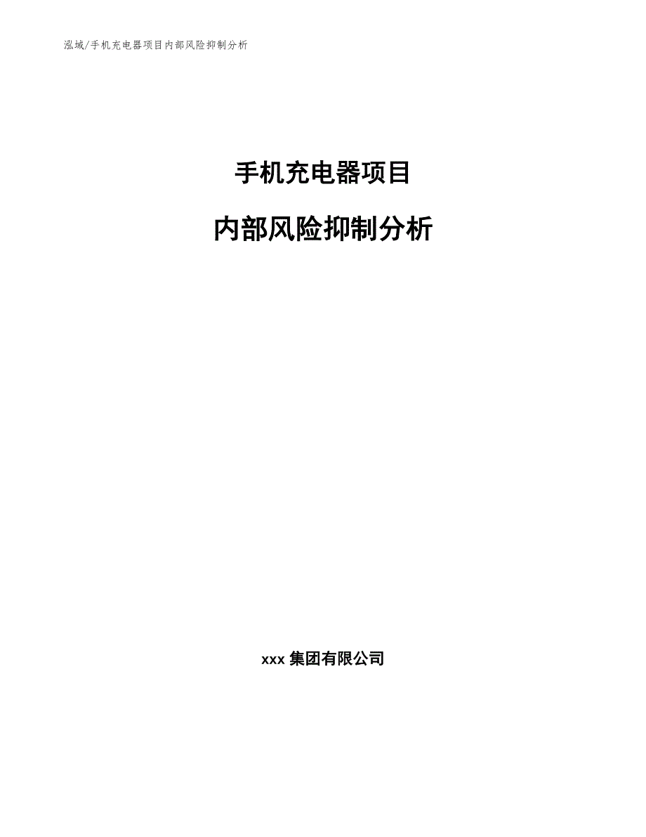 手机充电器项目内部风险抑制分析_范文_第1页