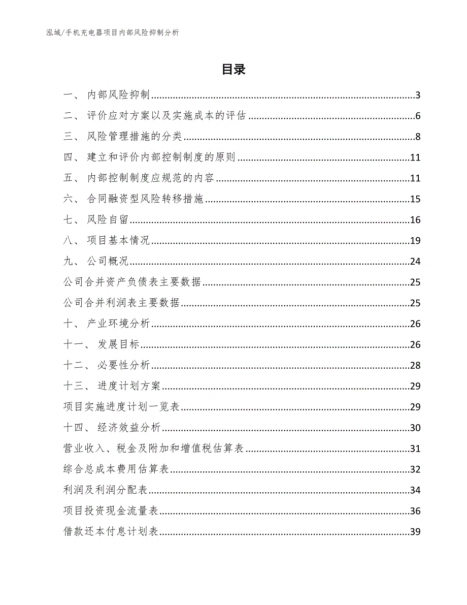 手机充电器项目内部风险抑制分析_范文_第2页