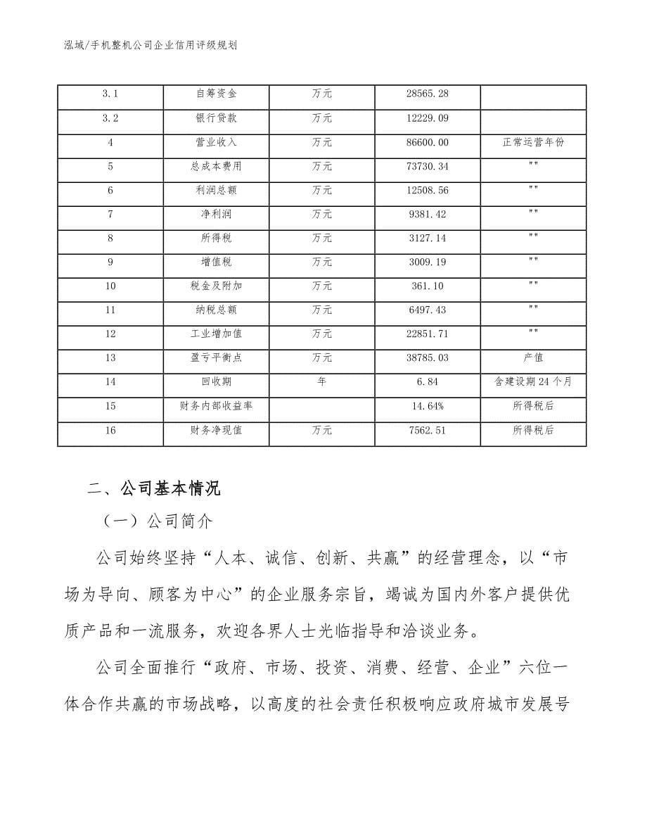 手机整机公司企业信用评级规划_第5页