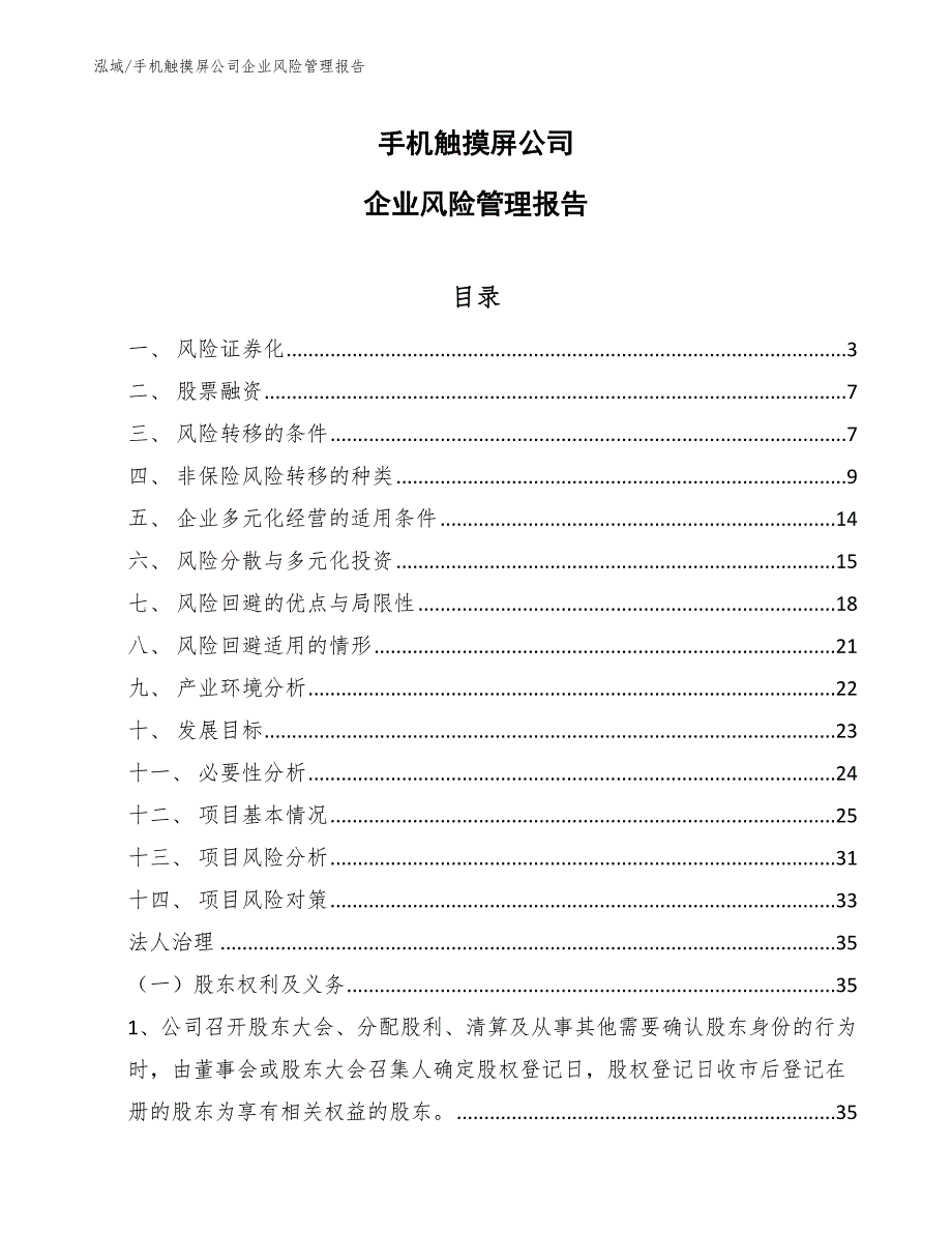 手机触摸屏公司企业风险管理报告（范文）_第1页