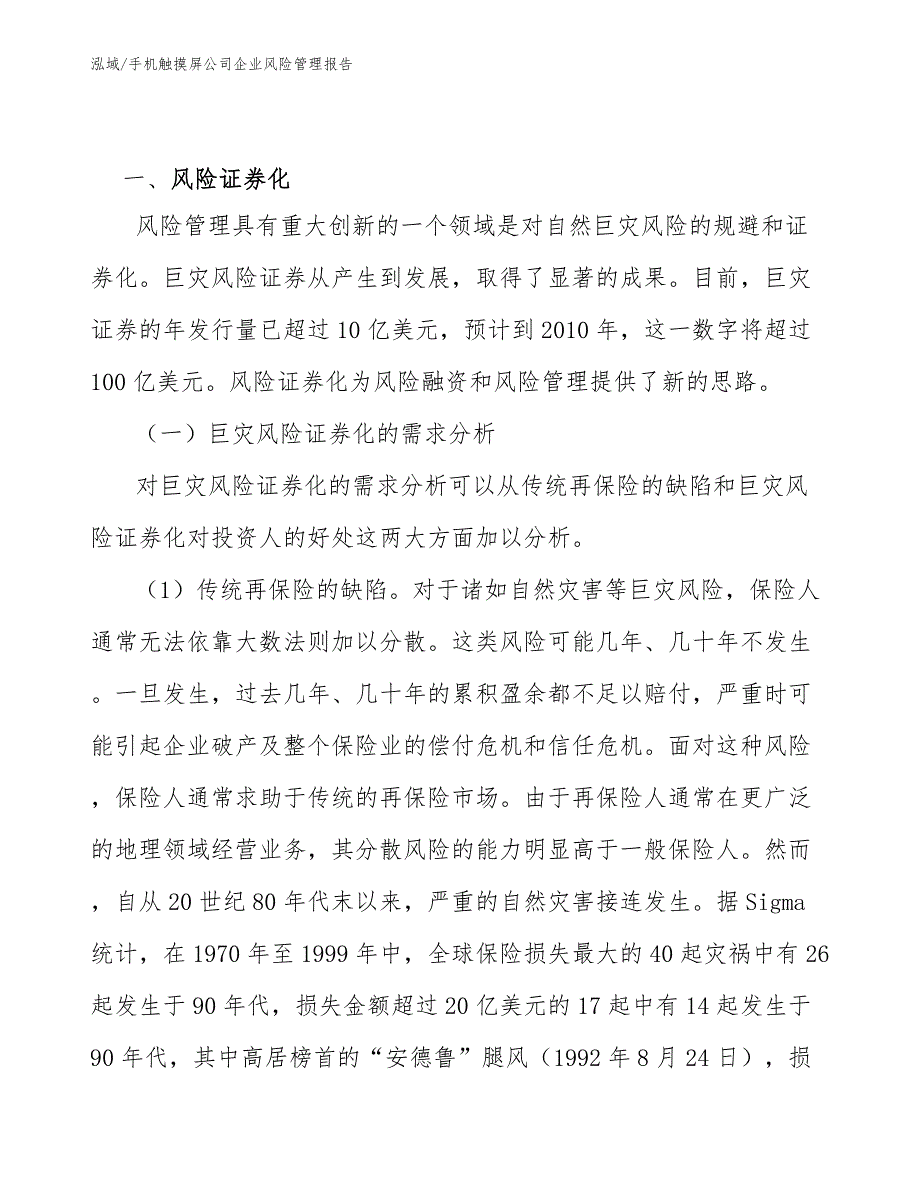 手机触摸屏公司企业风险管理报告（范文）_第3页