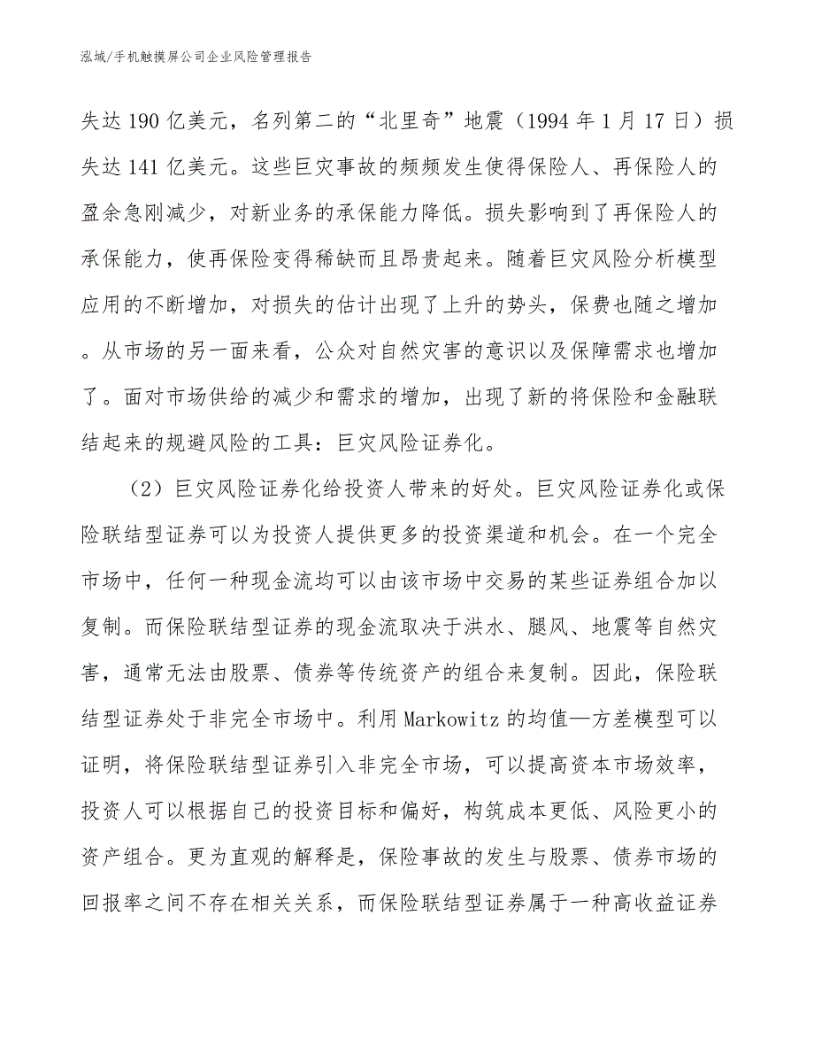 手机触摸屏公司企业风险管理报告（范文）_第4页