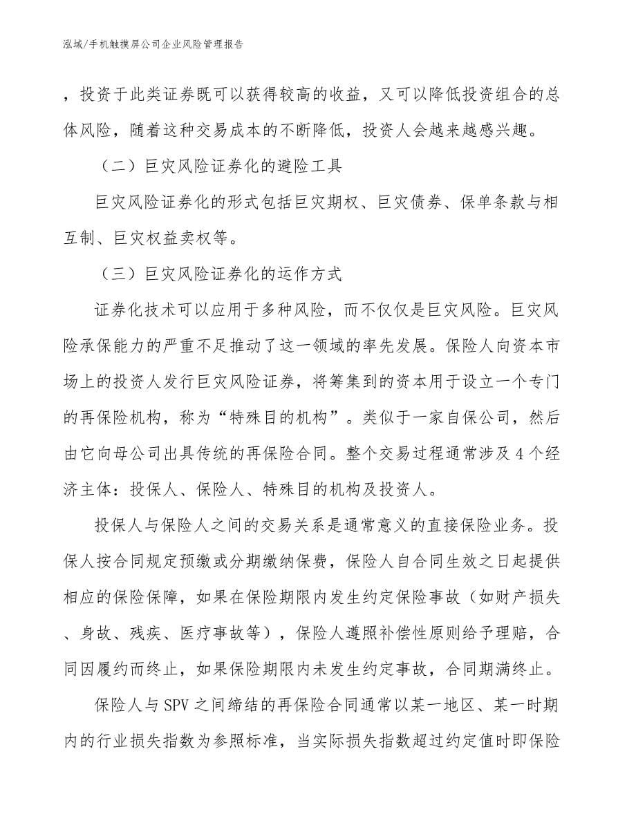 手机触摸屏公司企业风险管理报告（范文）_第5页