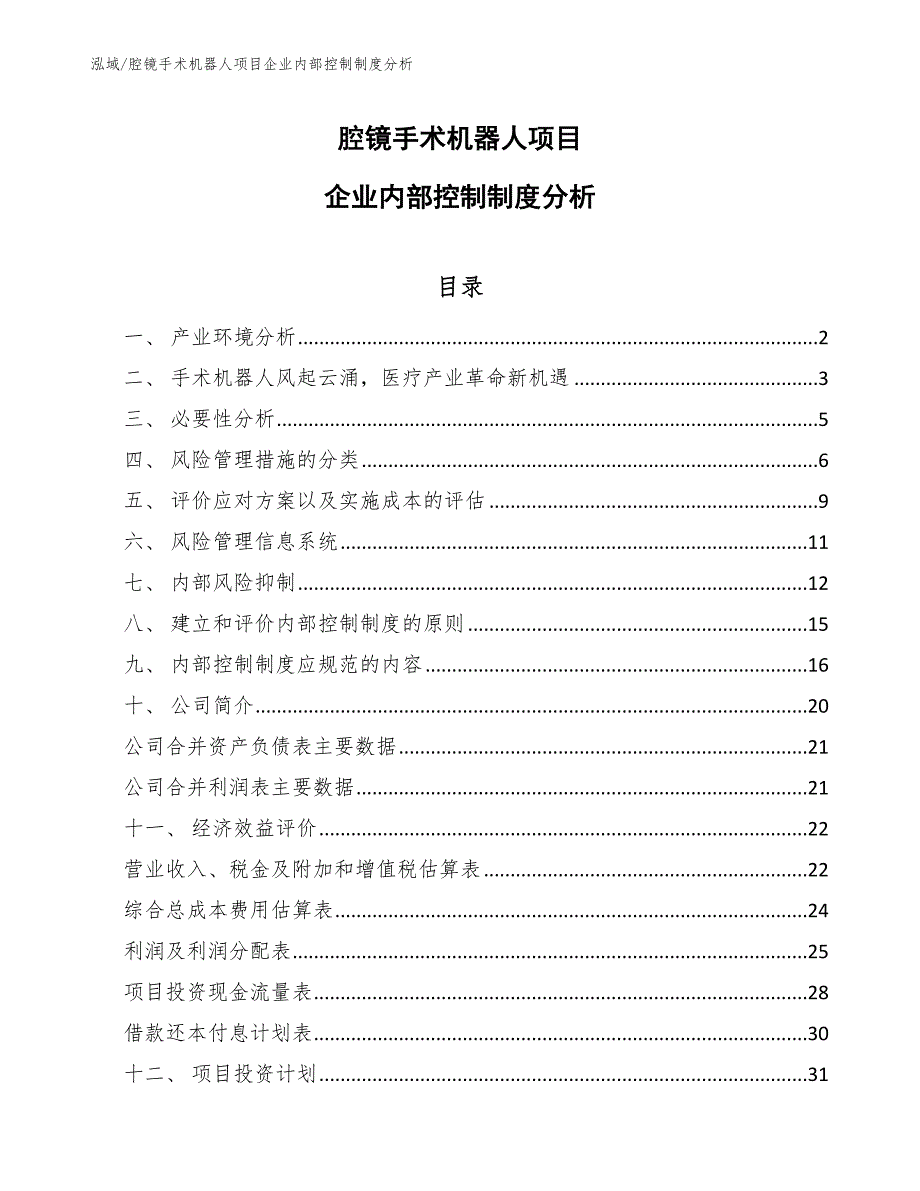 腔镜手术机器人项目企业内部控制制度分析（范文）_第1页