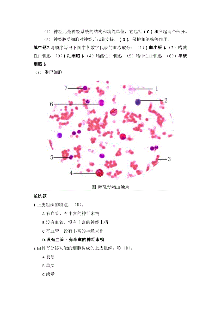 国开电大《家畜解剖》形考作业_第3页