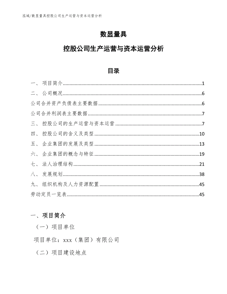 数显量具控股公司生产运营与资本运营分析（范文）_第1页