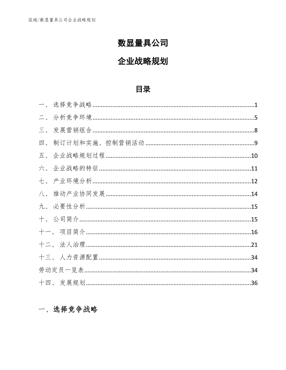 数显量具公司企业战略规划（范文）_第1页