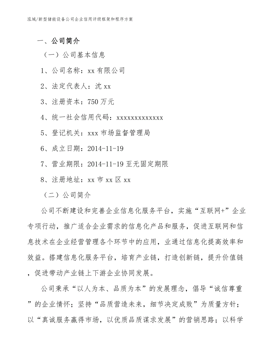 新型储能设备公司企业信用评级框架和程序方案【范文】_第3页