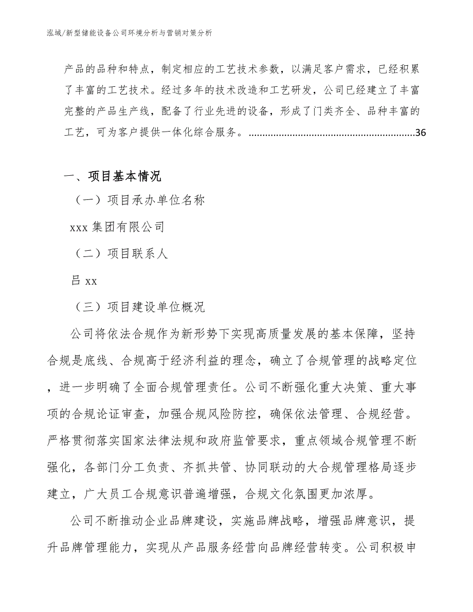 新型储能设备公司环境分析与营销对策分析（参考）_第2页