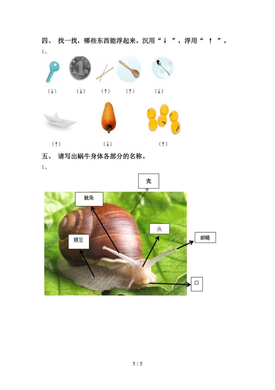 一年级《科学》上册第二次月考试卷（含答案）_第5页