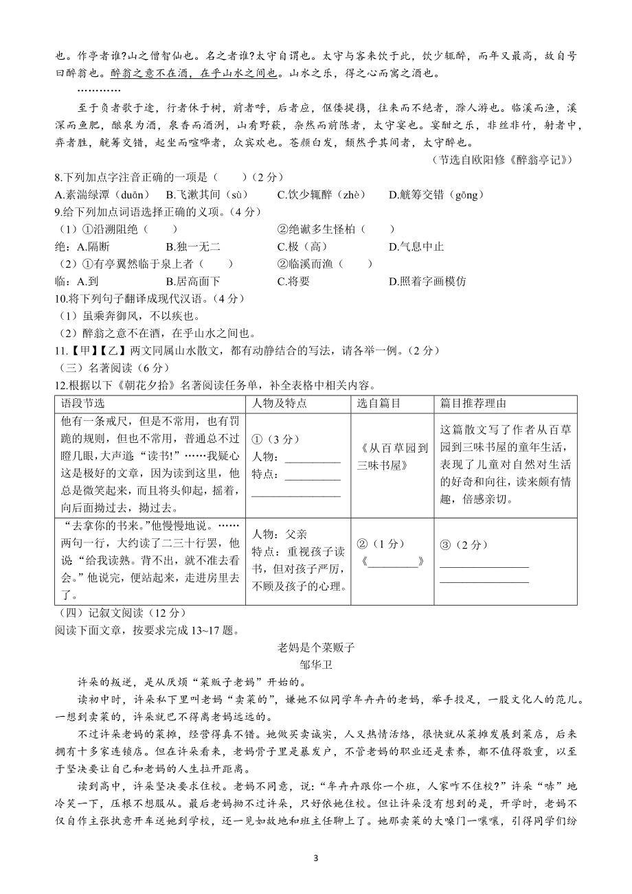 2022年海南省中考语文试题（含答案）_第3页