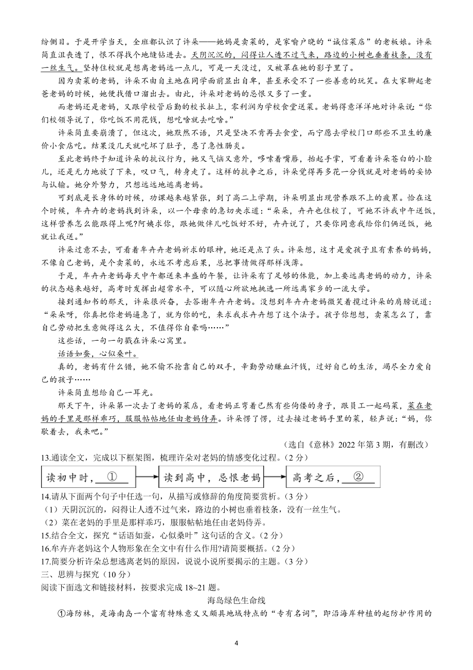 2022年海南省中考语文试题（含答案）_第4页